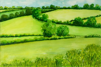 Sommerlandschaft, 2010 von Joan Thewsey